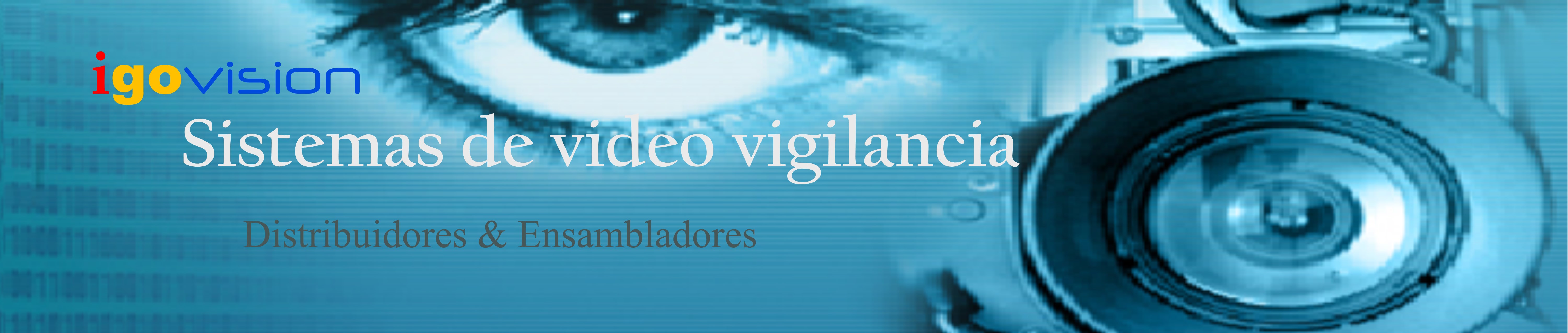 Sistemas Video Vigilancia