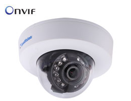 Cámara IP Geovision GV-IPCAM-EFD