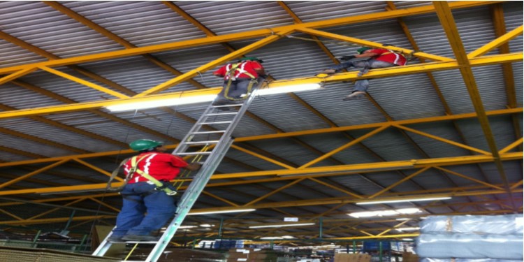 Equipo de Trabajo